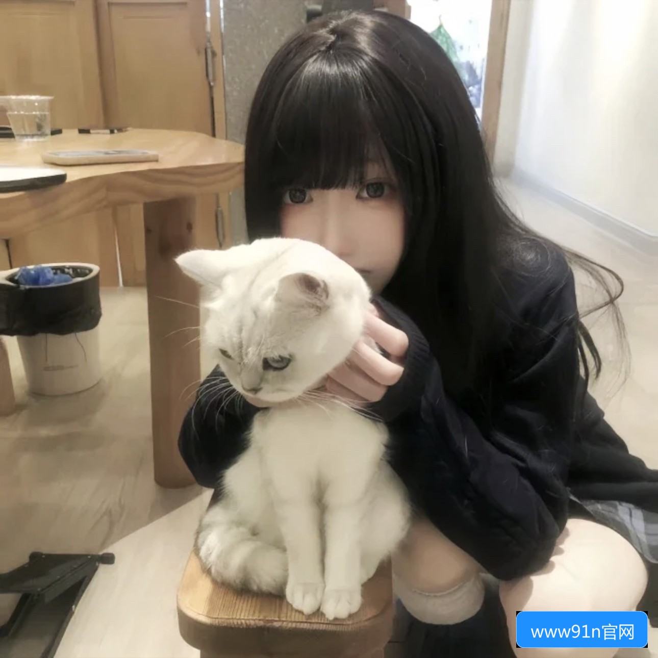 九一传媒网站入口有哪些常用方式及使用指南